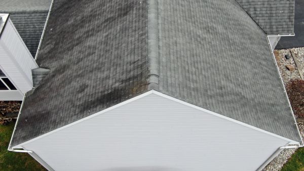 Roof Shingle Inspection